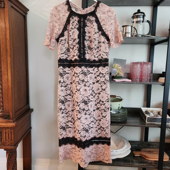 Gorgeous Lace Dressy Dress Pale Pink Black Jax Black Label Size 8 Beautiful Sexy - Picture 1 of 11